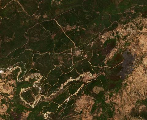 Satellite view near Souk Ahras, Algeria