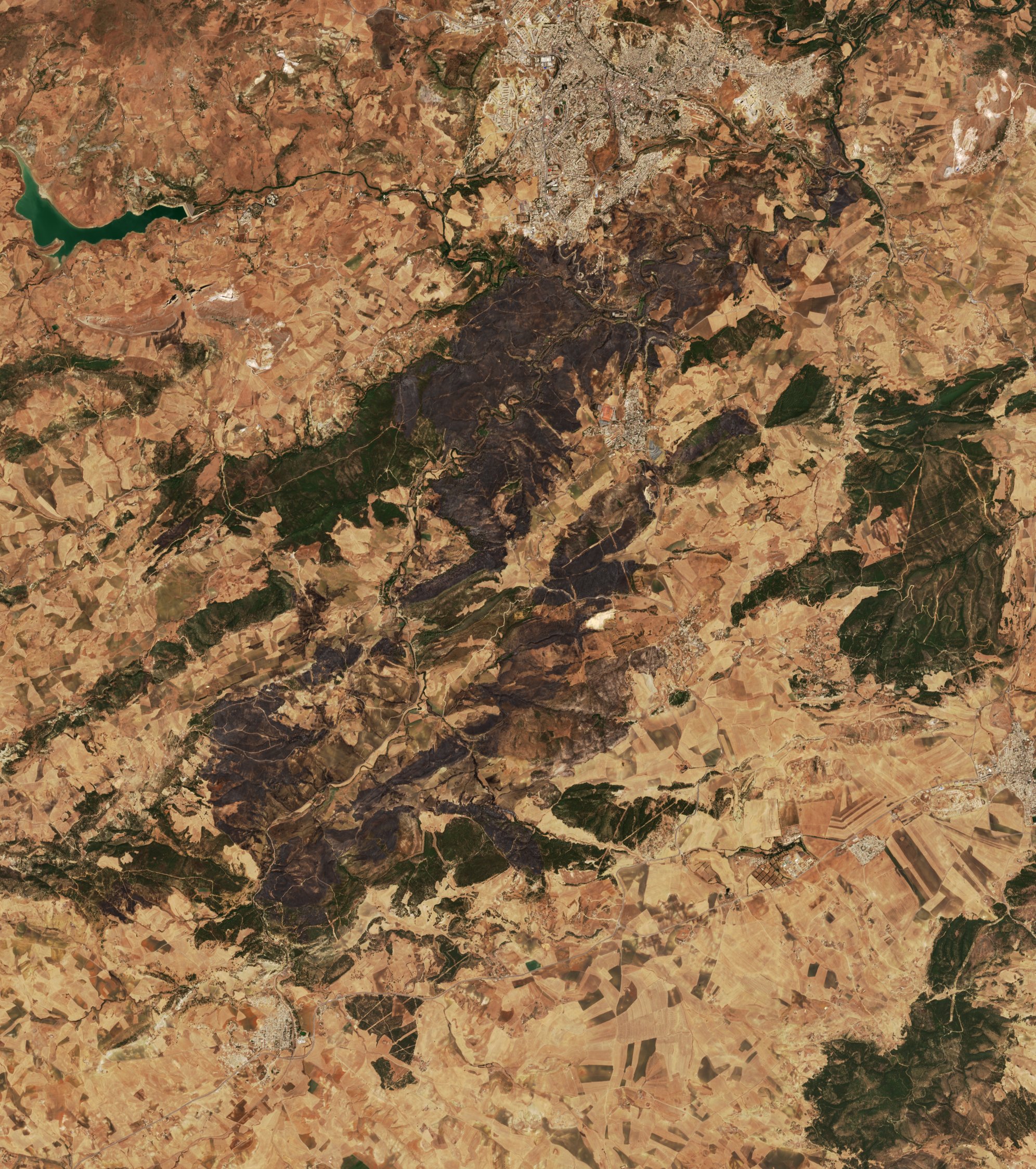 The burned area in 2022-ben