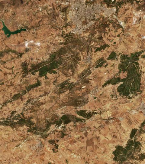 Satellite view near Souk Ahras, Algeria