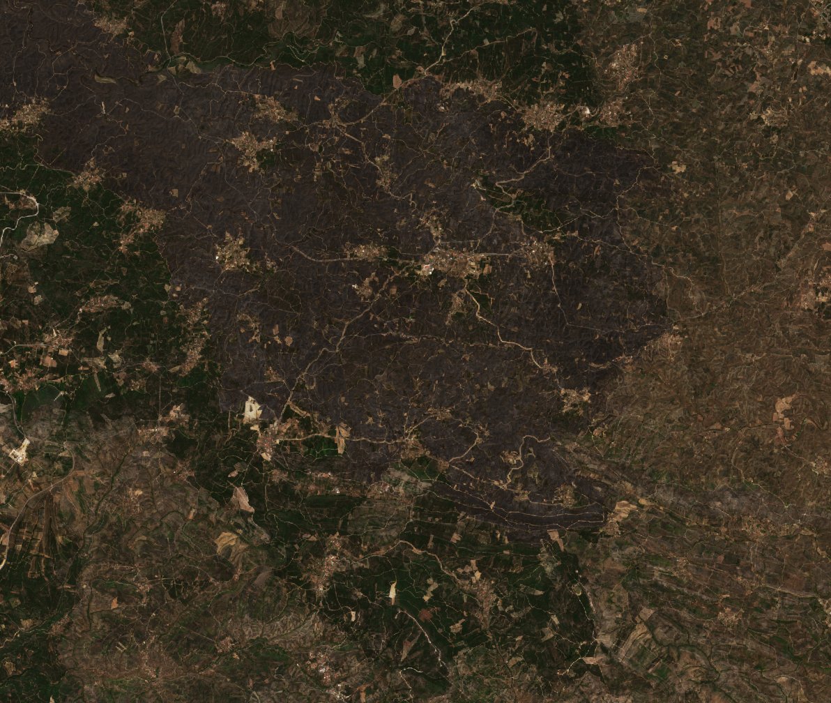The burned area in 2019-ben