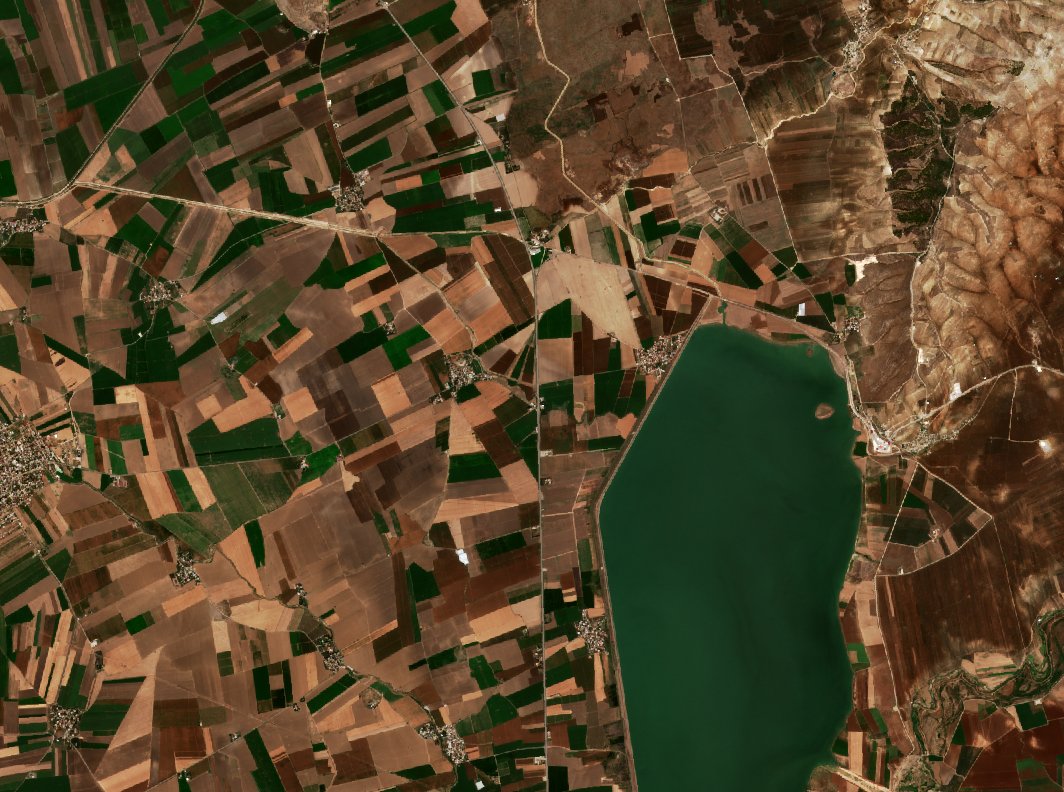 The area before the fire, September 3, 2026