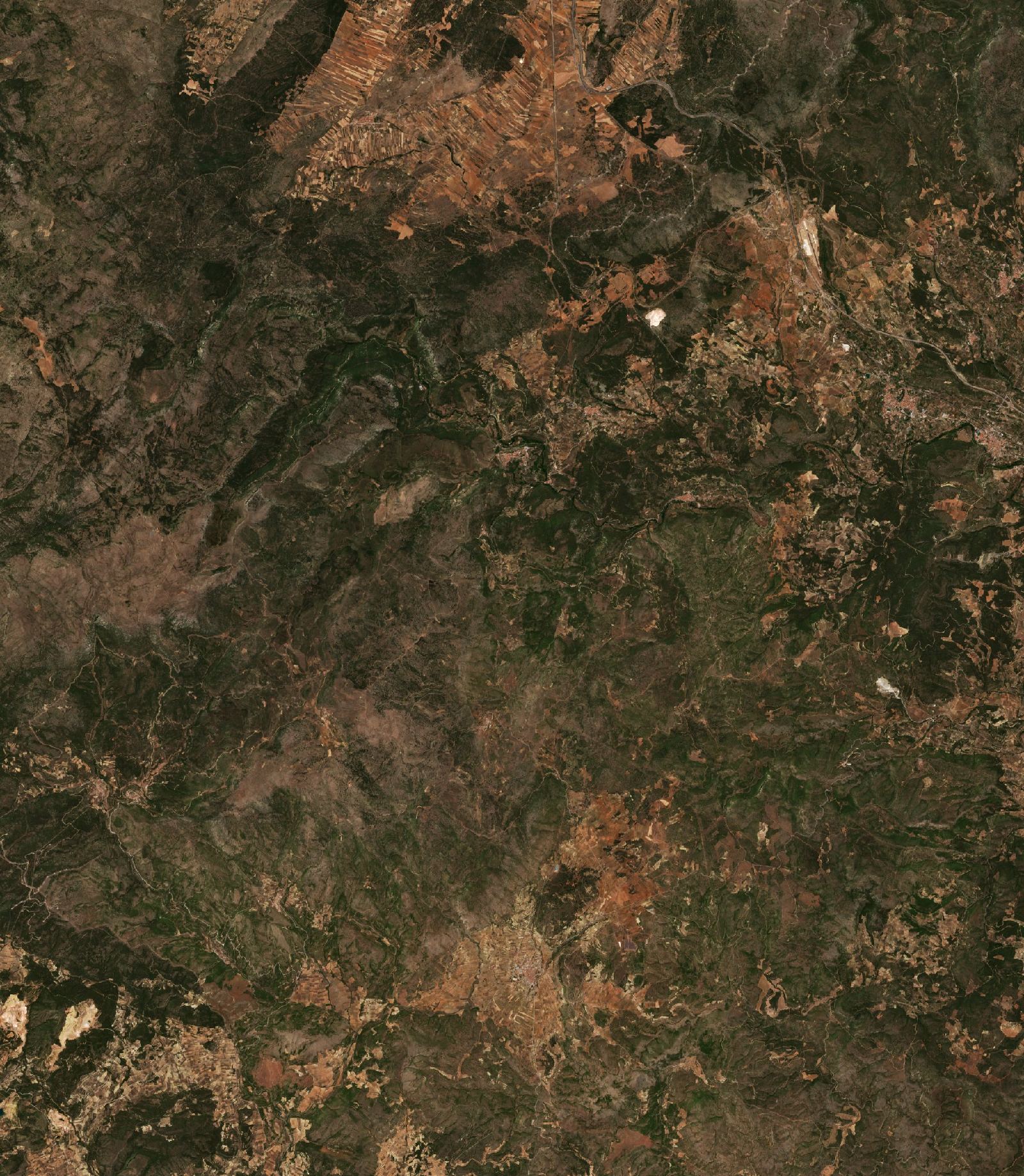 The area before the fire, July 24, 2022