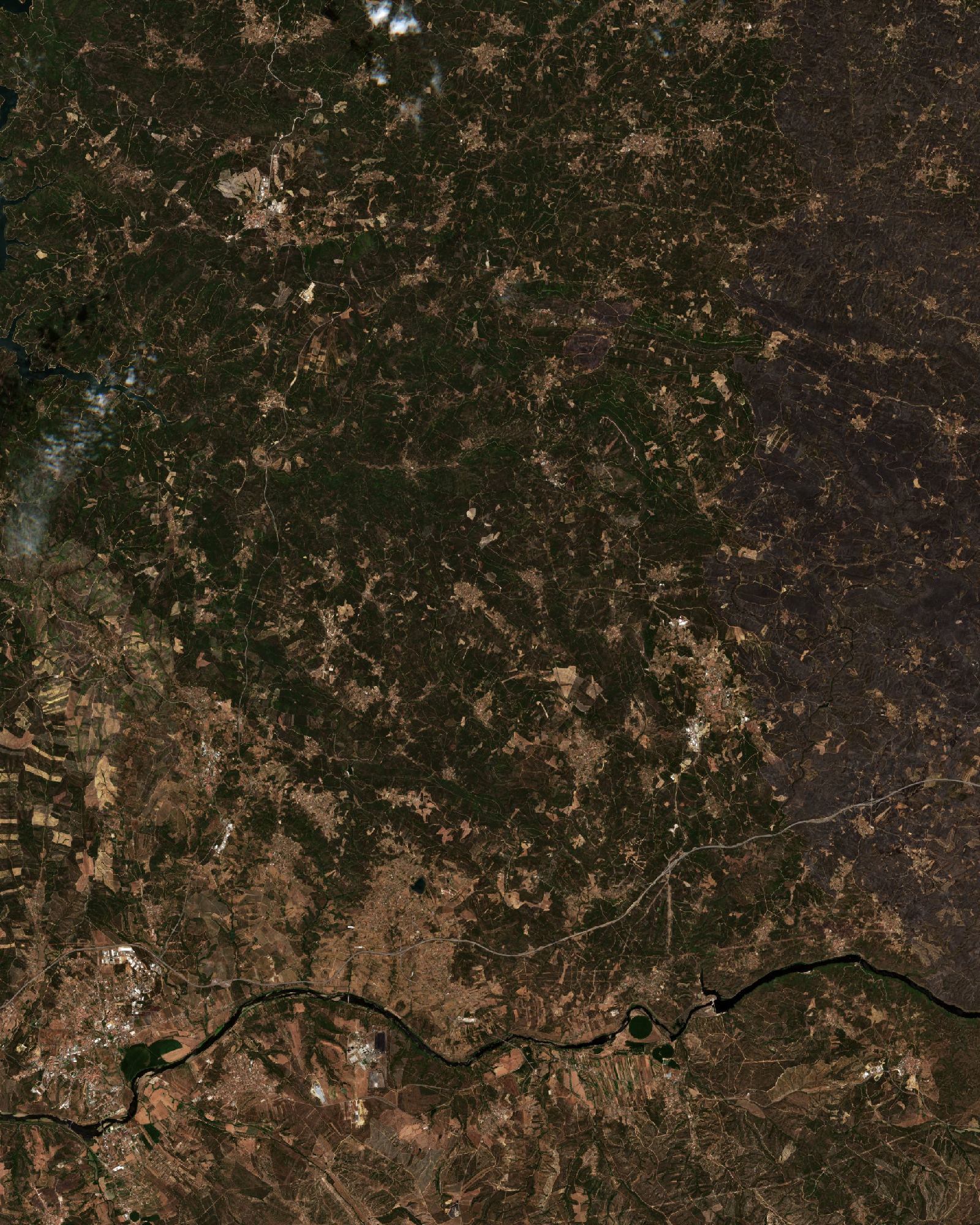 The area before the fire, July 29, 2017