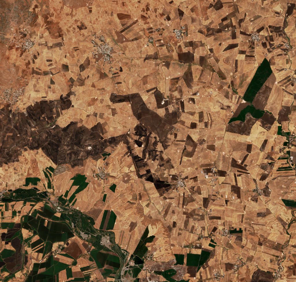 The area before the fire, September 3, 2026