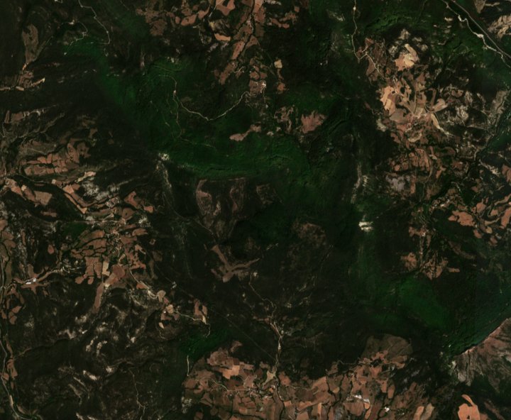 The area before the fire, July 30, 2026
