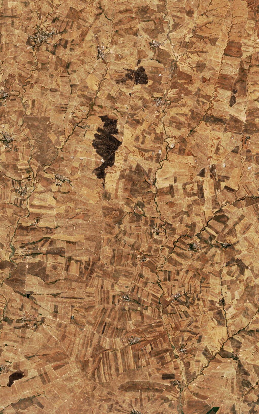 Sentinel-2 images