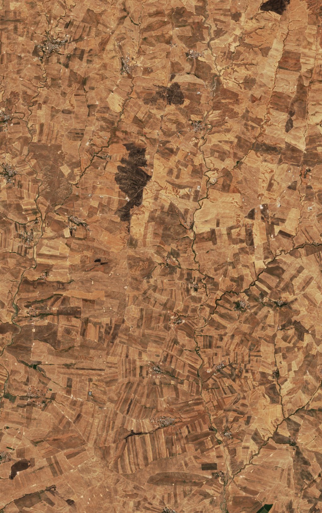 The area before the fire, September 10, 2026