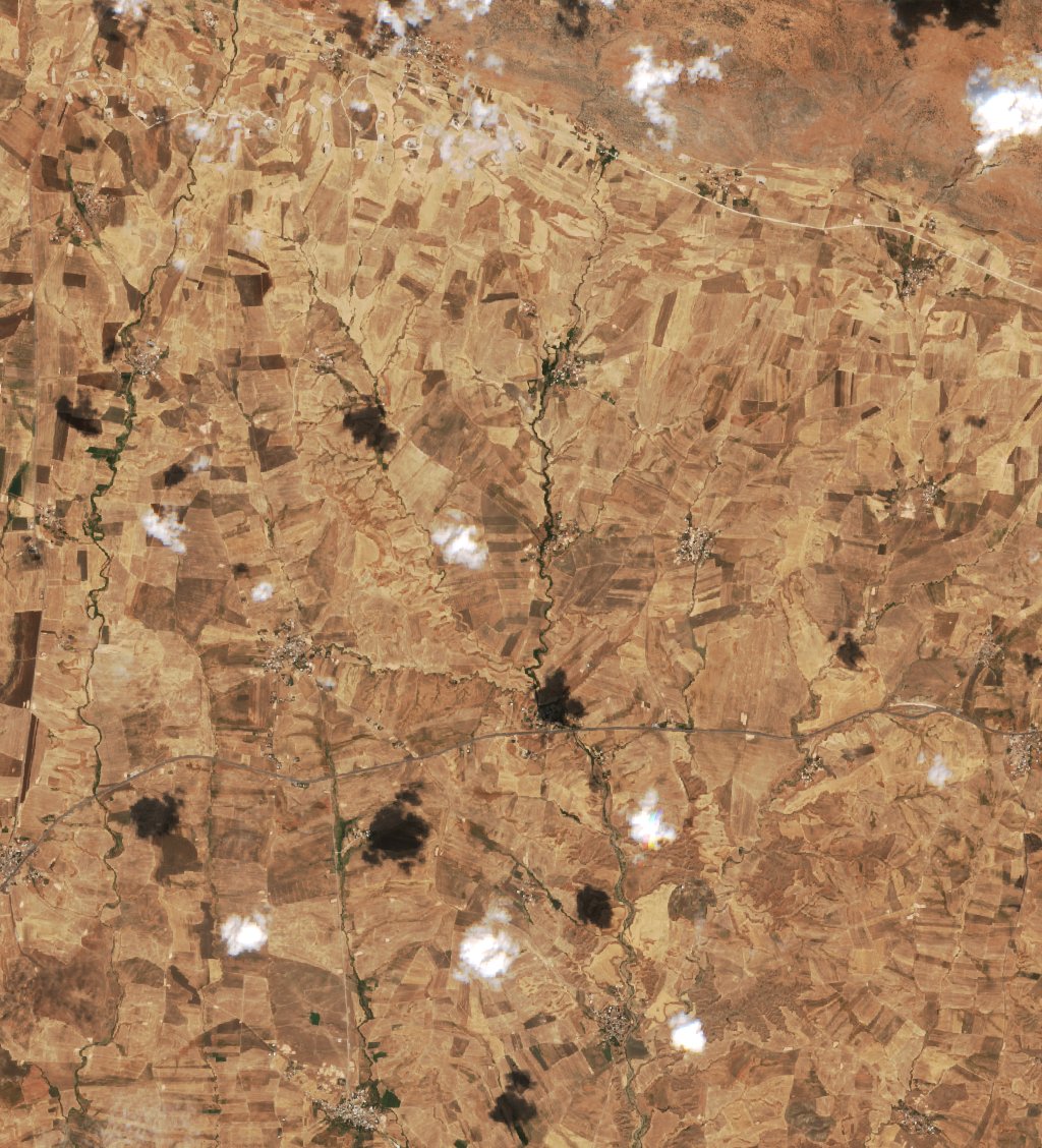 Sentinel-2 images