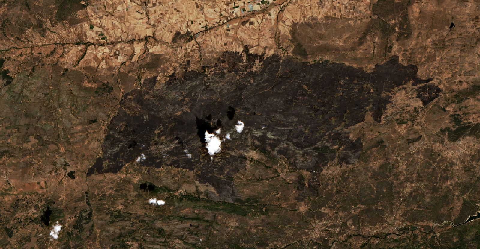 The area after the fire, August 19, 2021