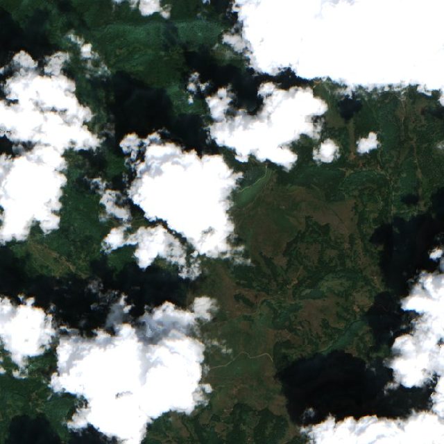 Burned area near Bosilegrad from space