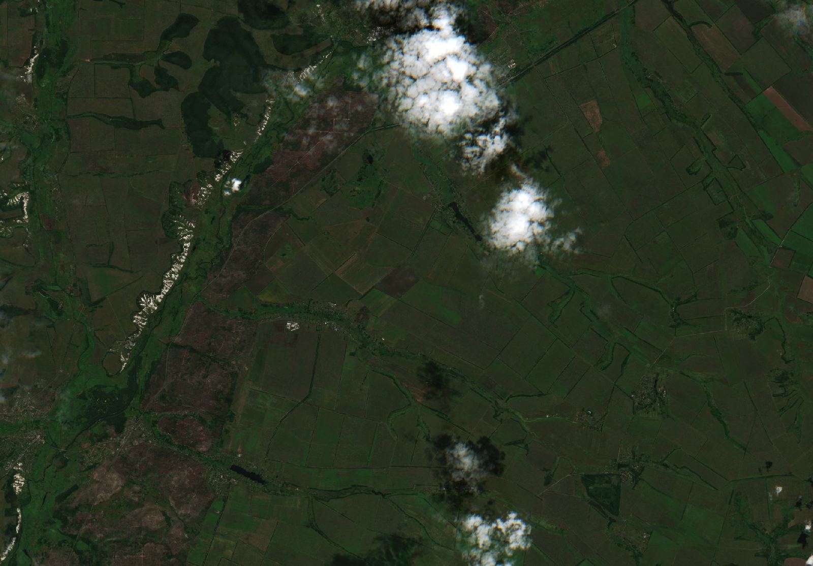 Sentinel-2 images