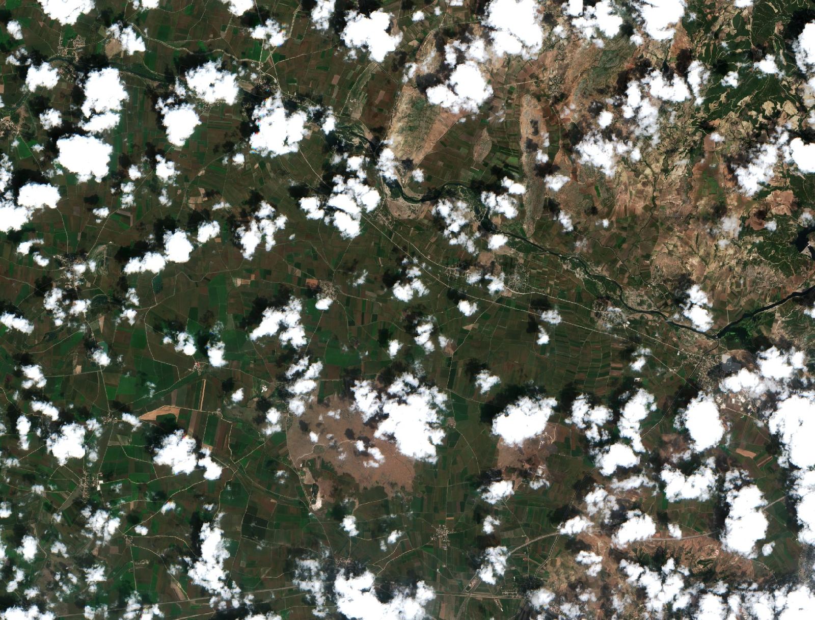 Sentinel-2 images