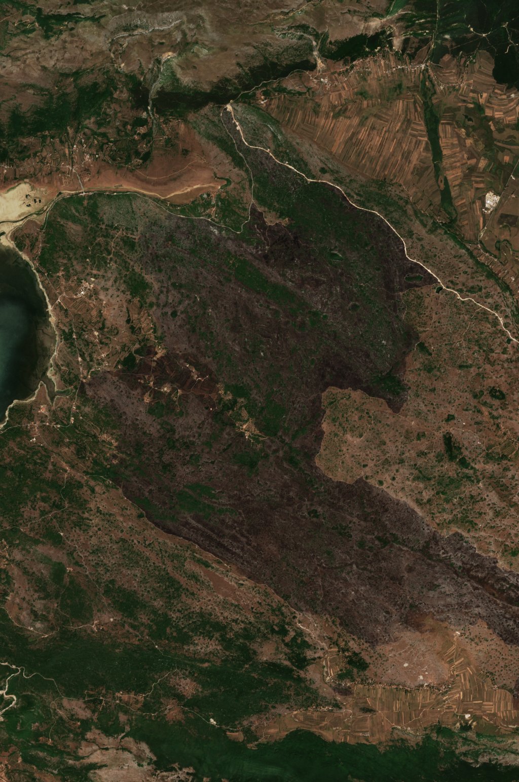 The area after the fire, August 12, 2021