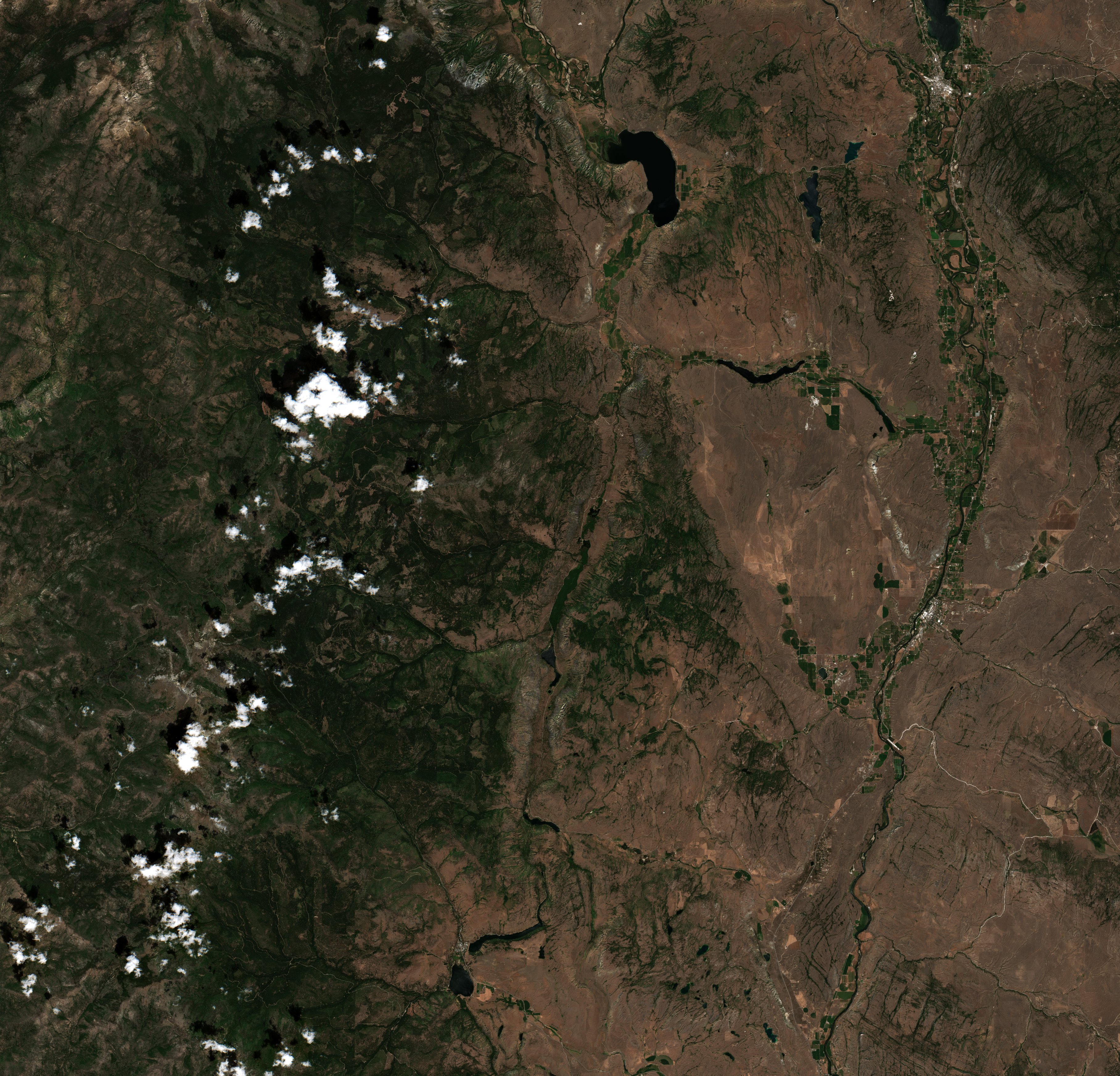 The area before the fire, July 15, 2026