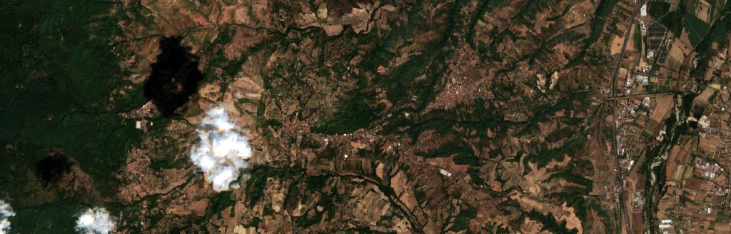 Sentinel-2 images