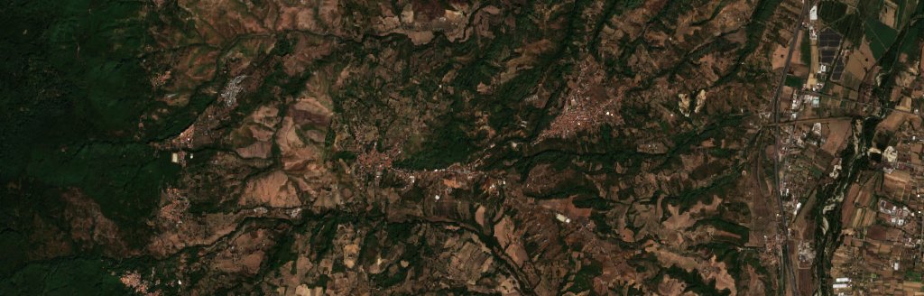 The area before the fire, September 23, 2026
