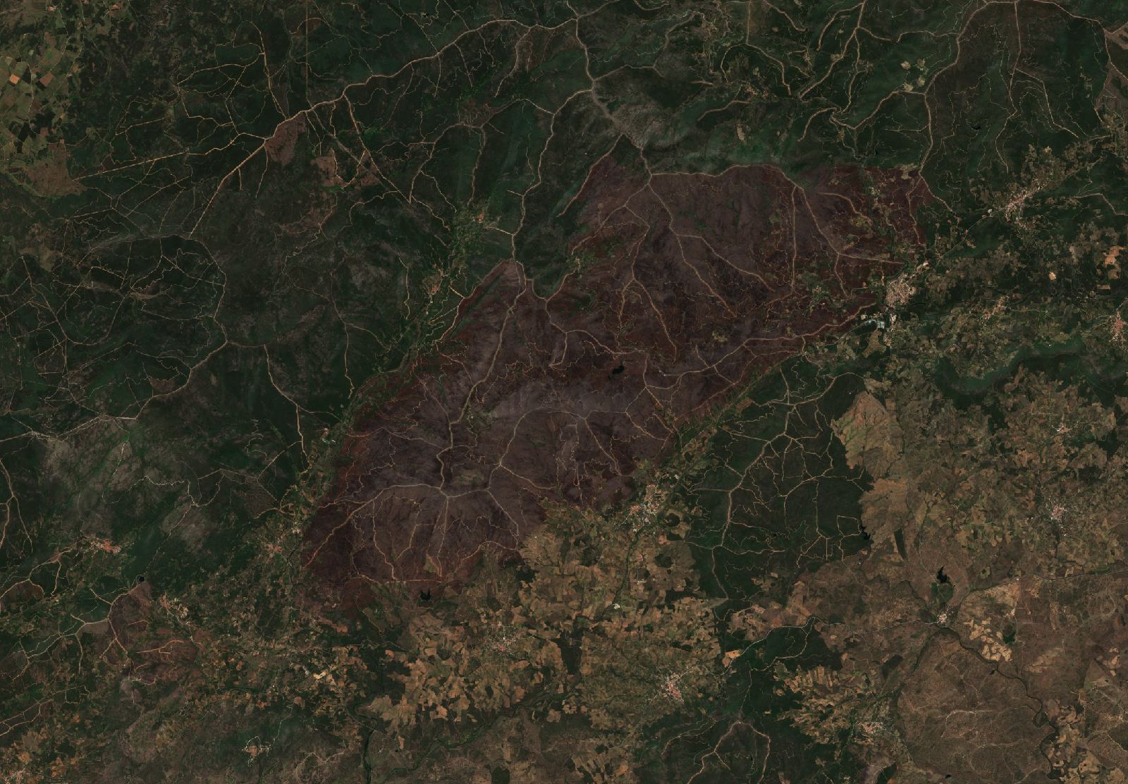 The area after the fire, June 25, 2023