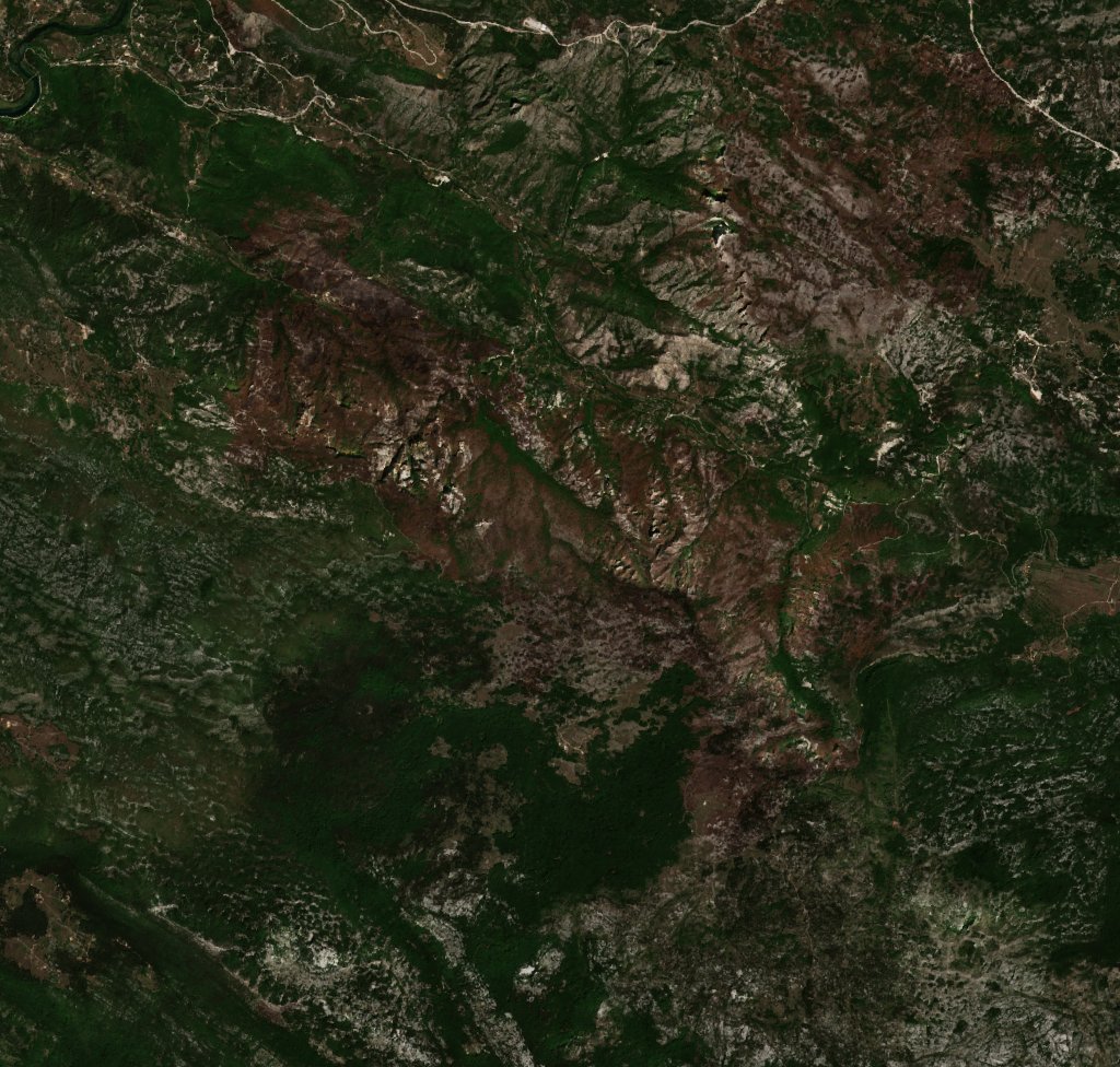 The area after the fire, August 17, 2022