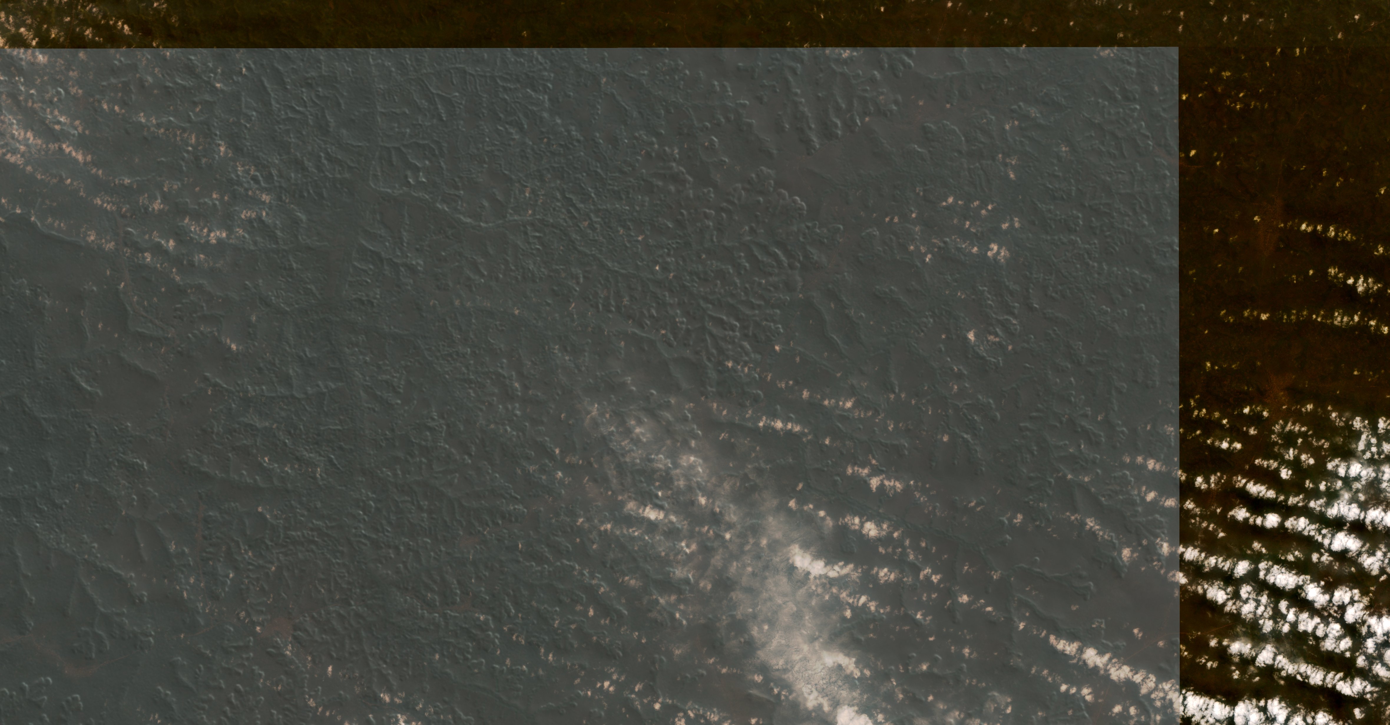 Sentinel-2 images