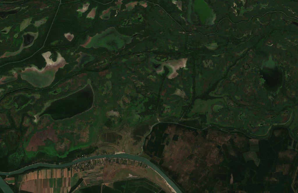 Sentinel-2 images