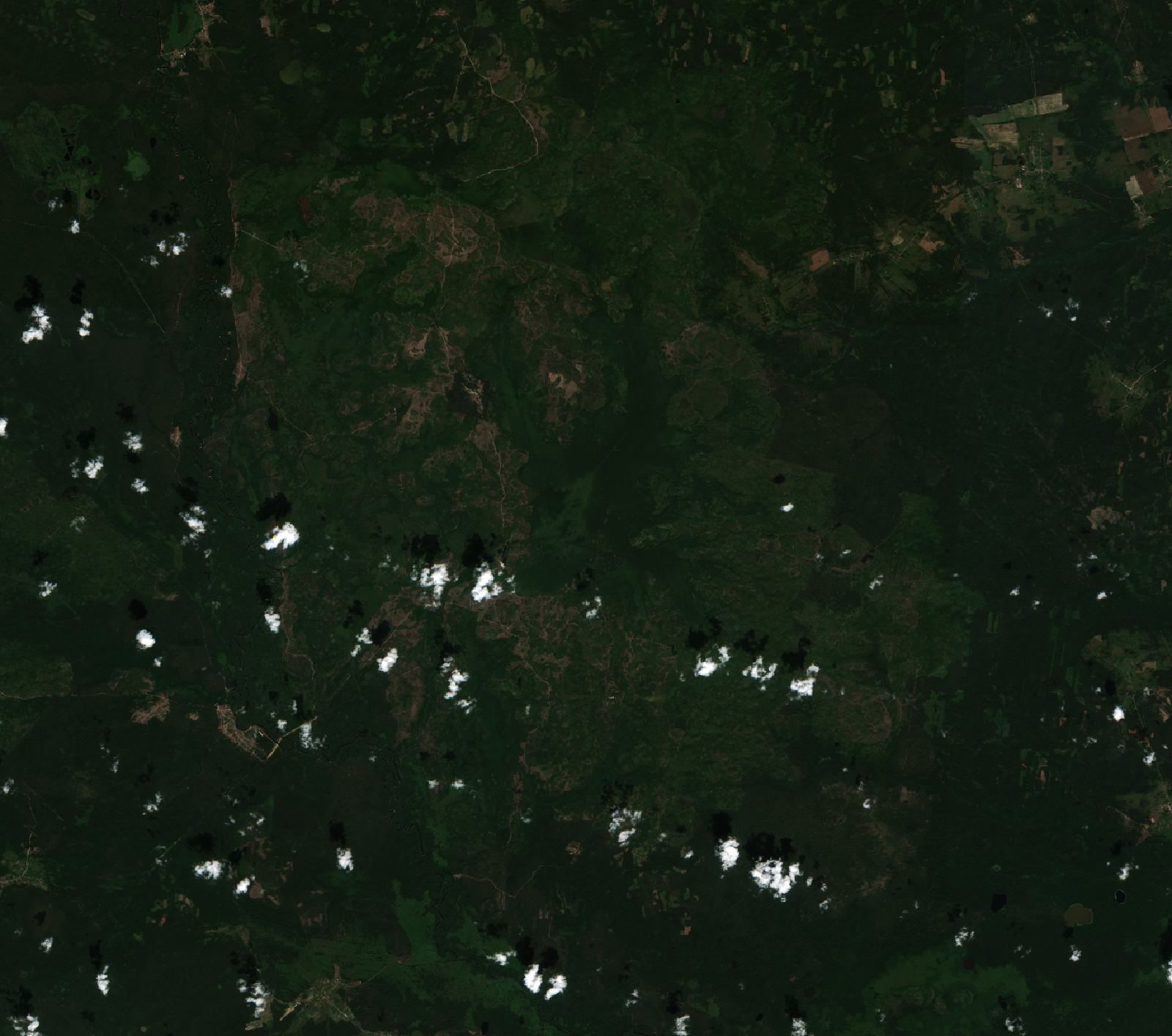 Sentinel-2 images