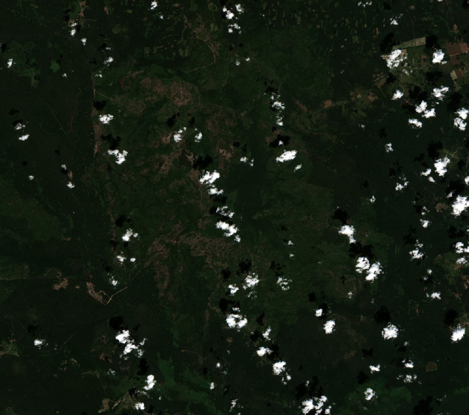The area before the fire, July 30, 2022