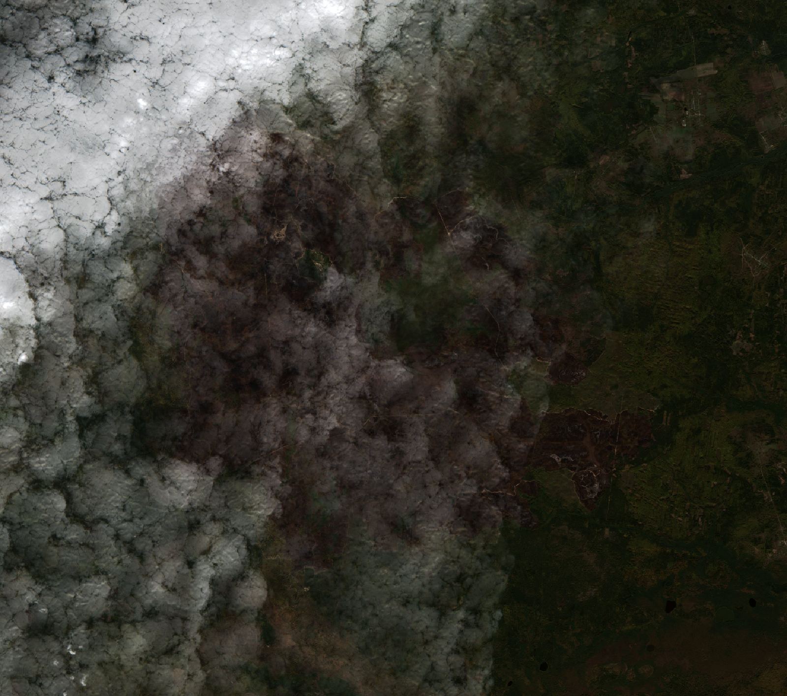 The area after the fire, October 8, 2022