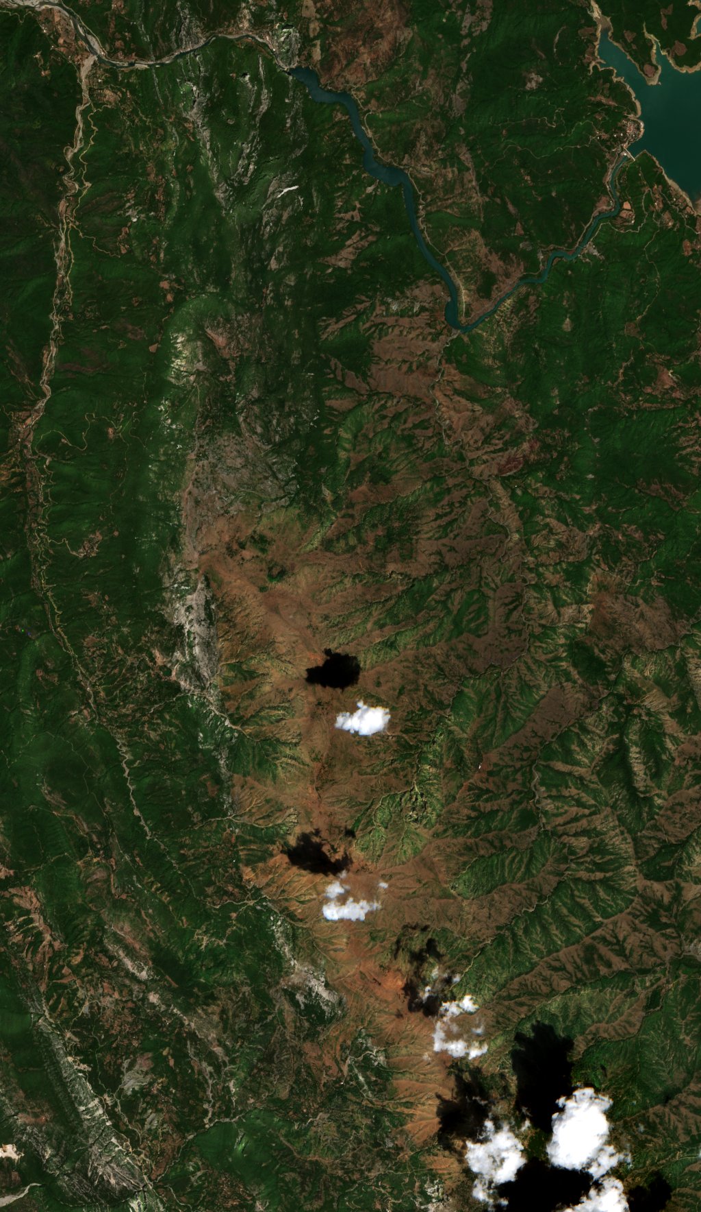 Sentinel-2 images