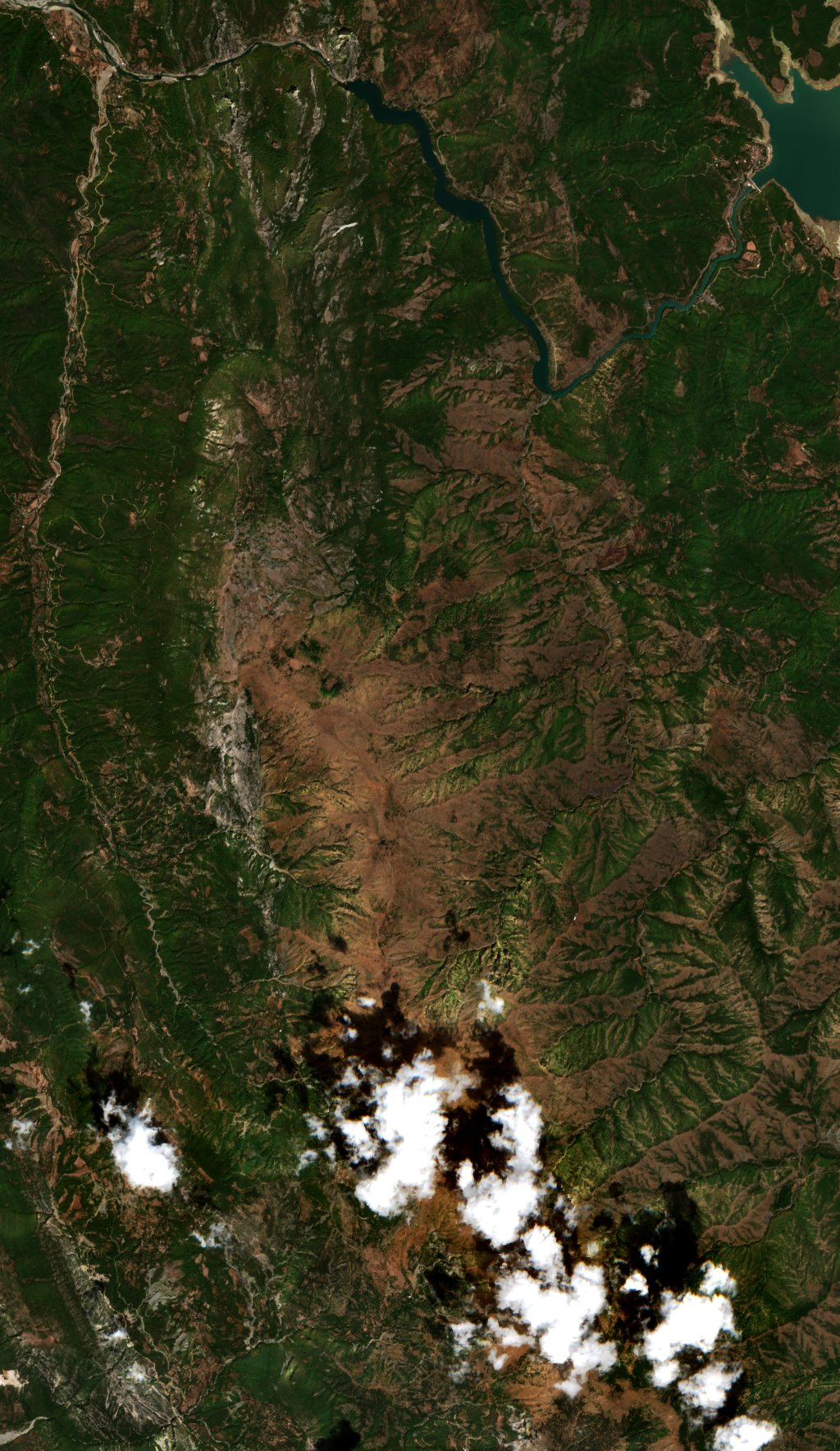 The area before the fire, August 23, 2026