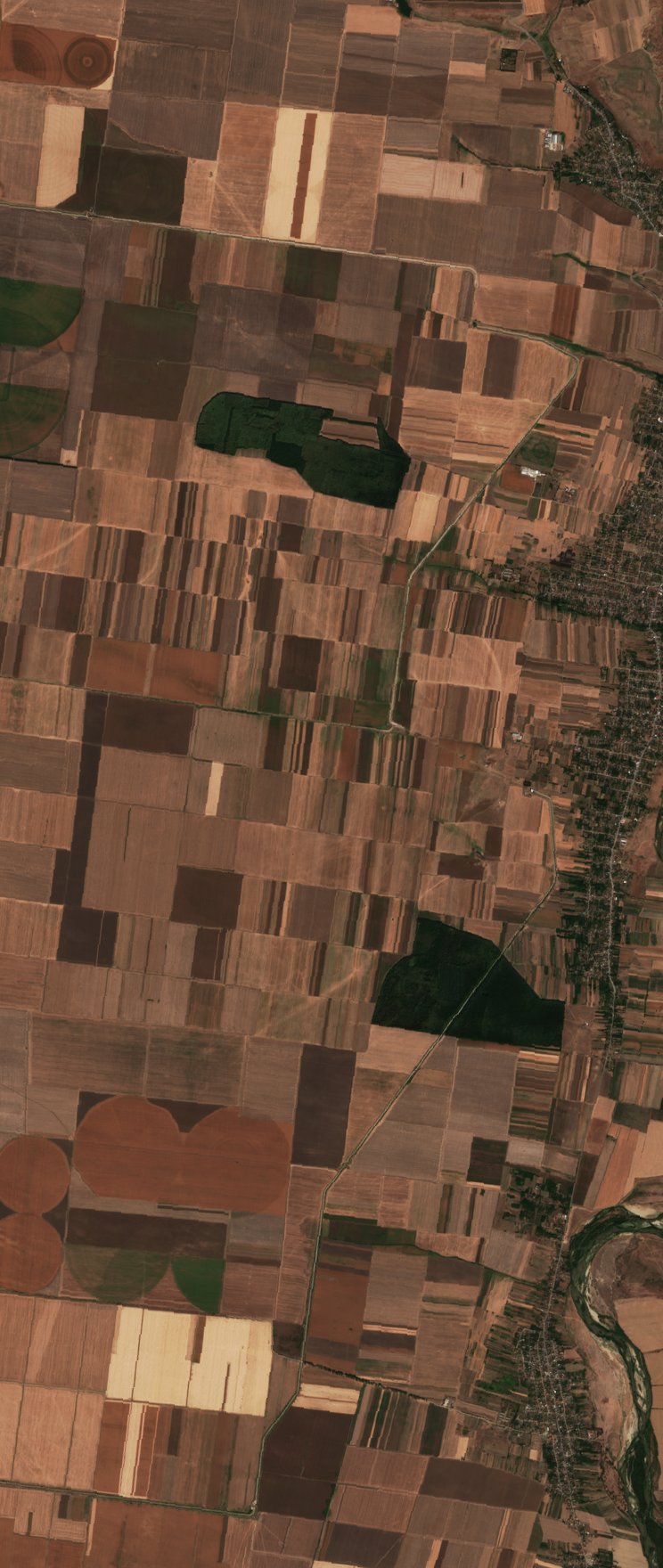 Sentinel-2 images