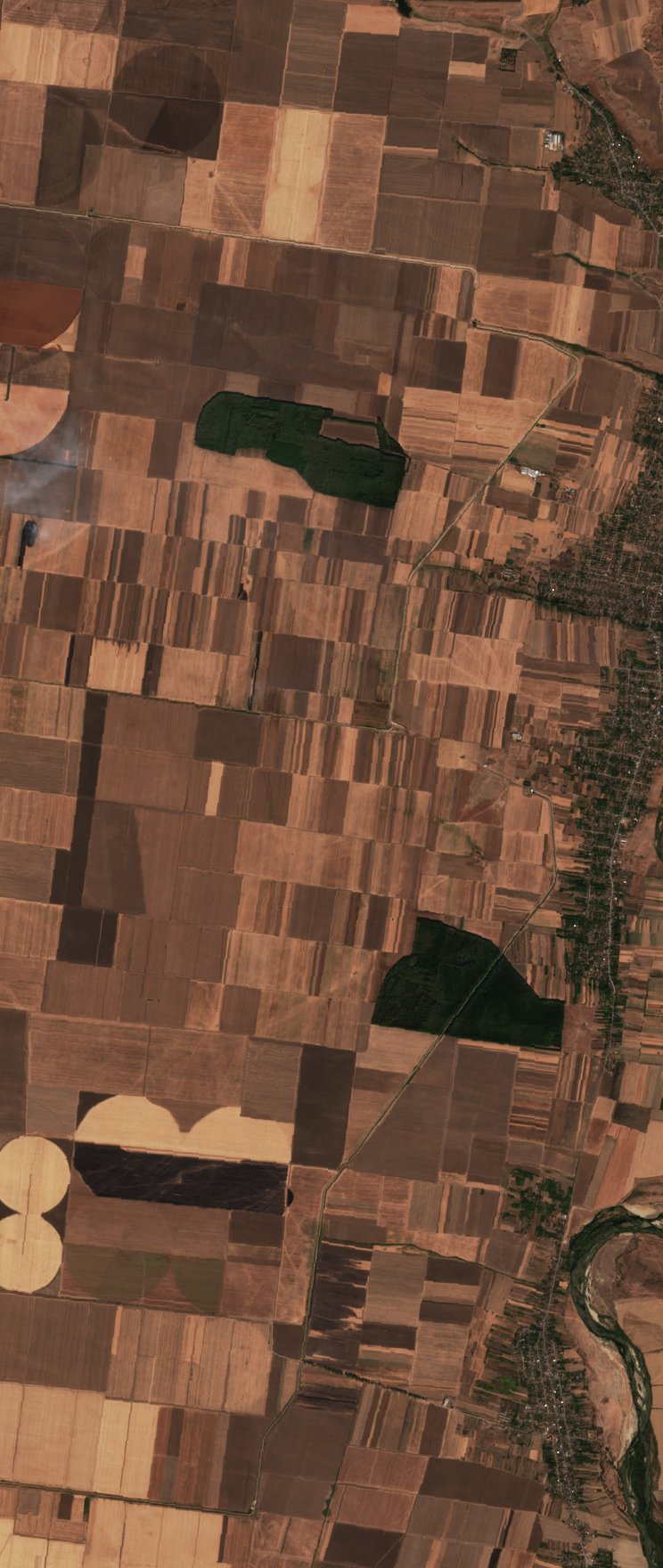 The area after the fire, October 4, 2026