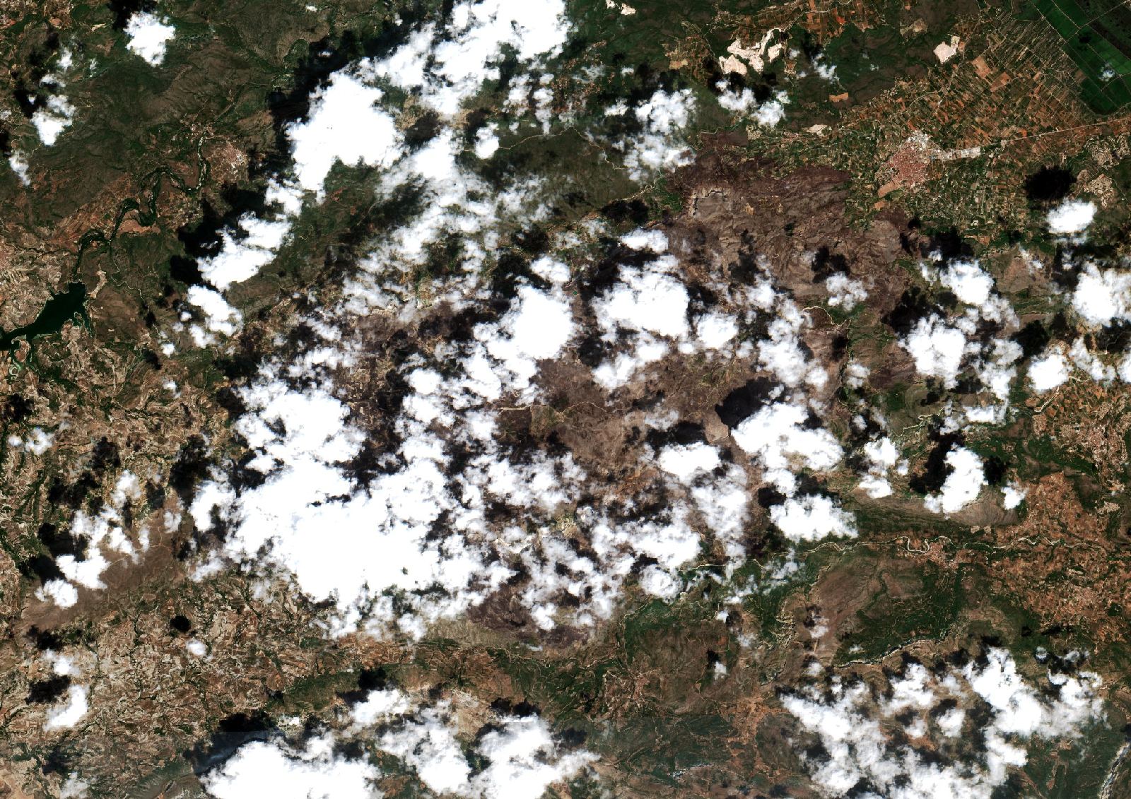The area after the fire, August 23, 2022