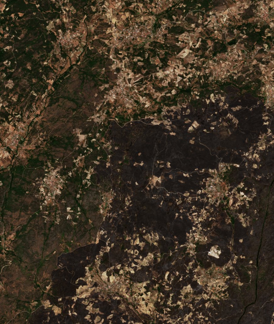 The area before the fire, August 6, 2026