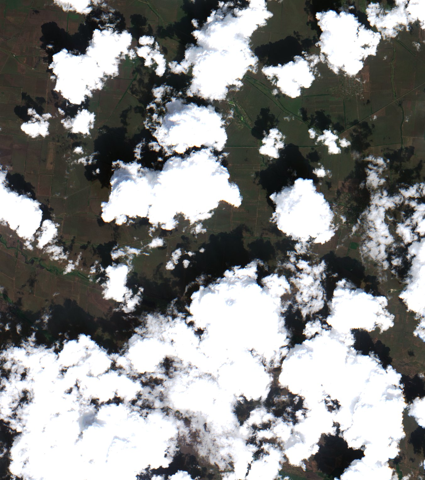 Sentinel-2 images