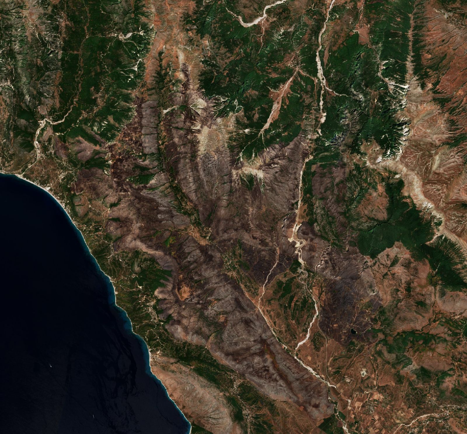 The area after the fire, August 3, 2025