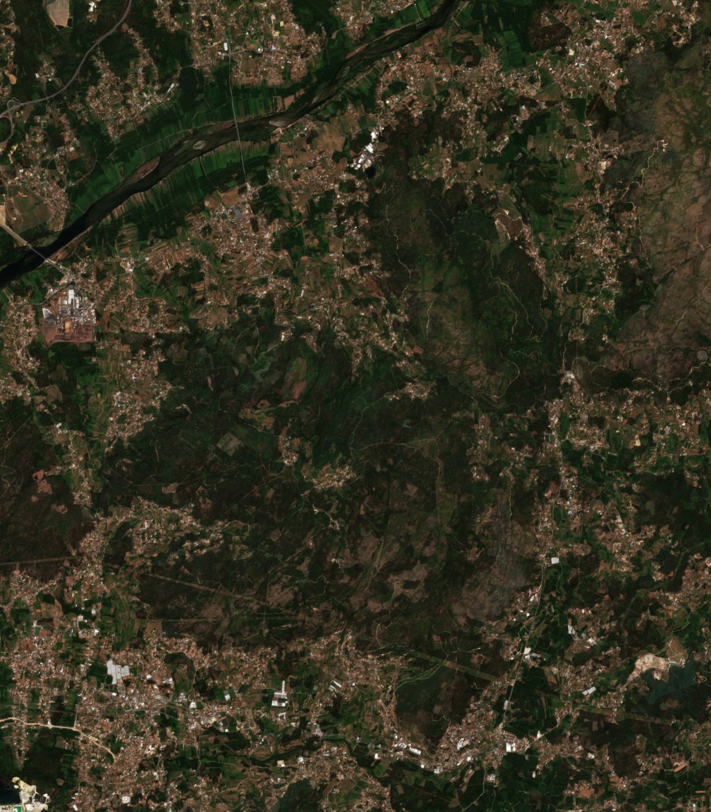 The area before the fire, July 29, 2026