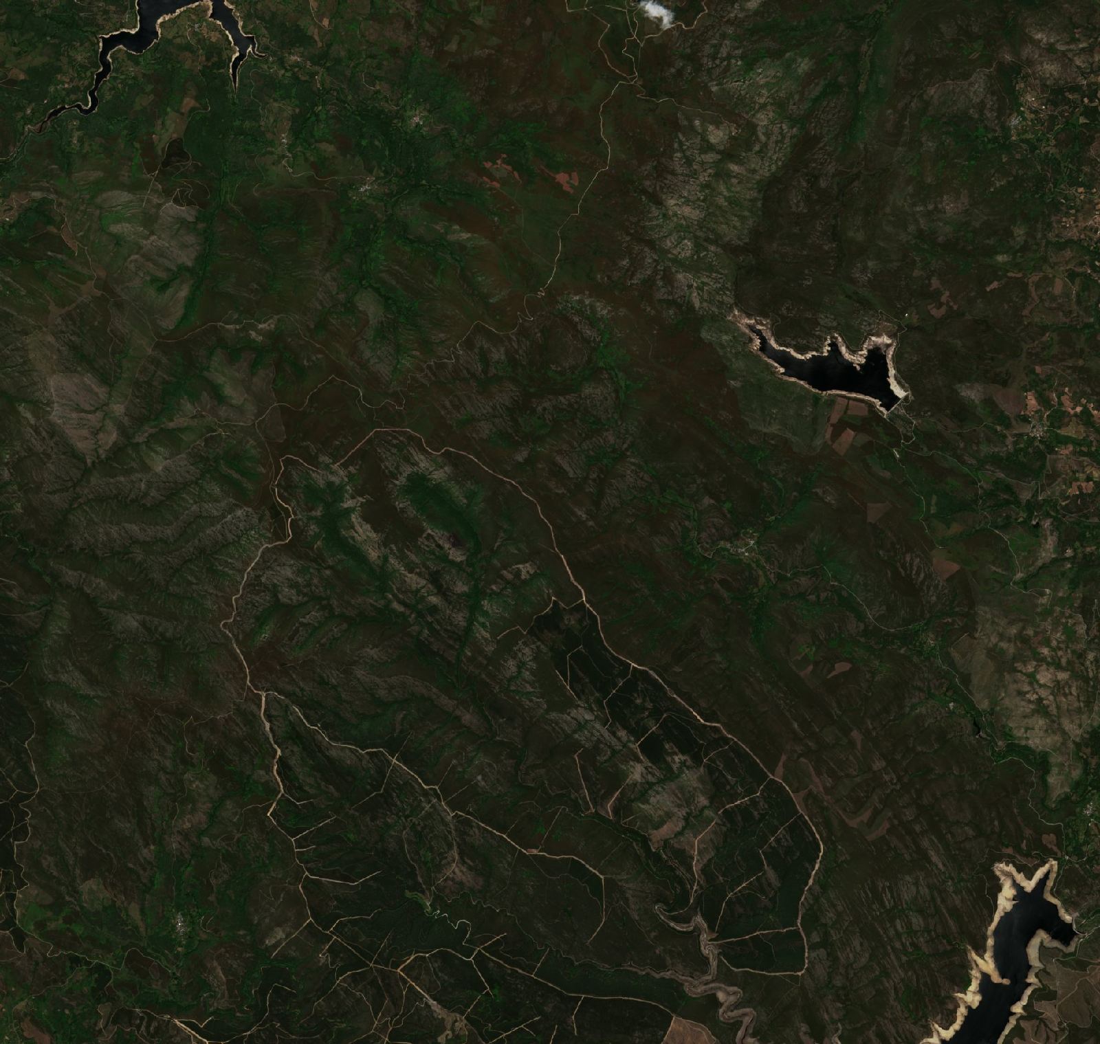 The area before the fire, June 28, 2022