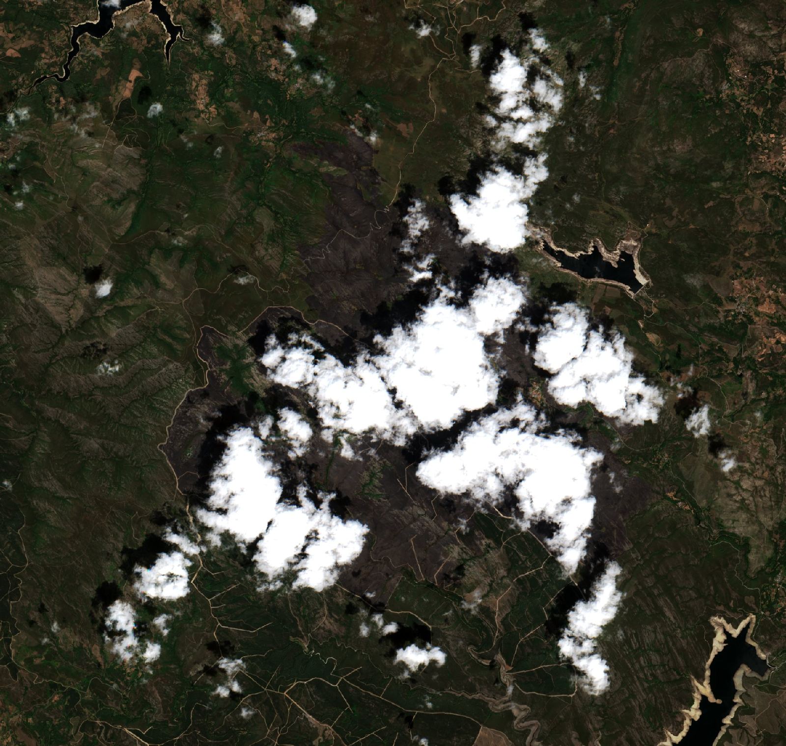 The area after the fire, July 28, 2022