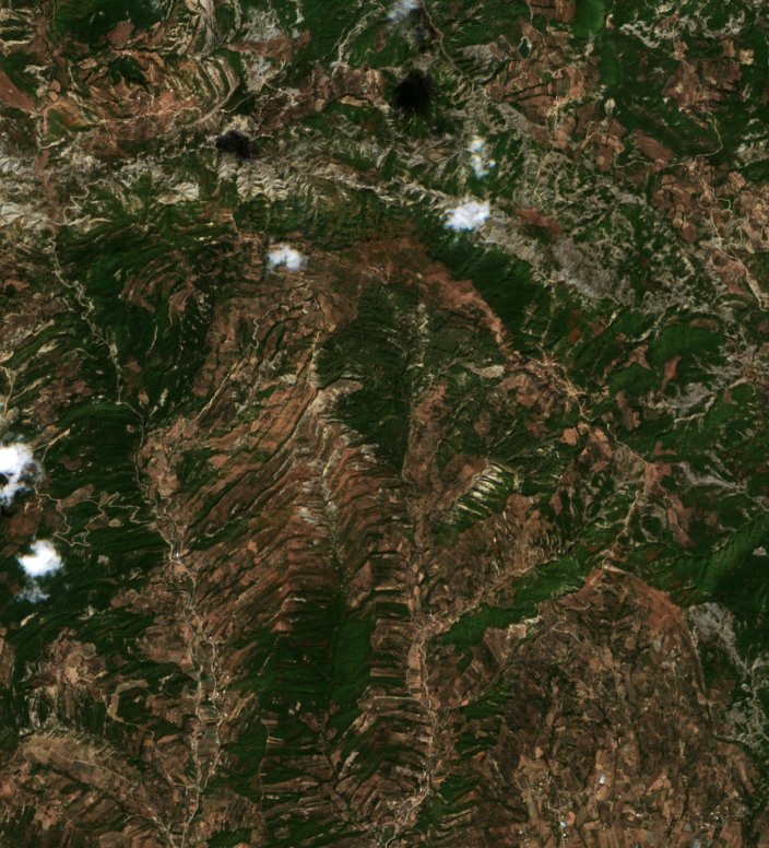 Sentinel-2 images