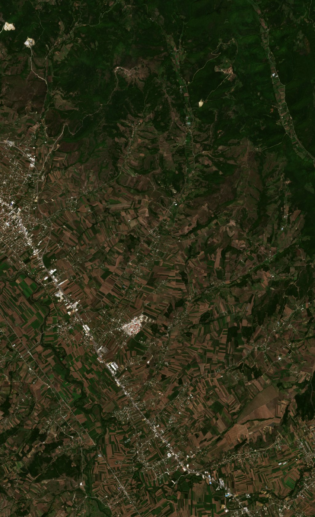 Sentinel-2 images
