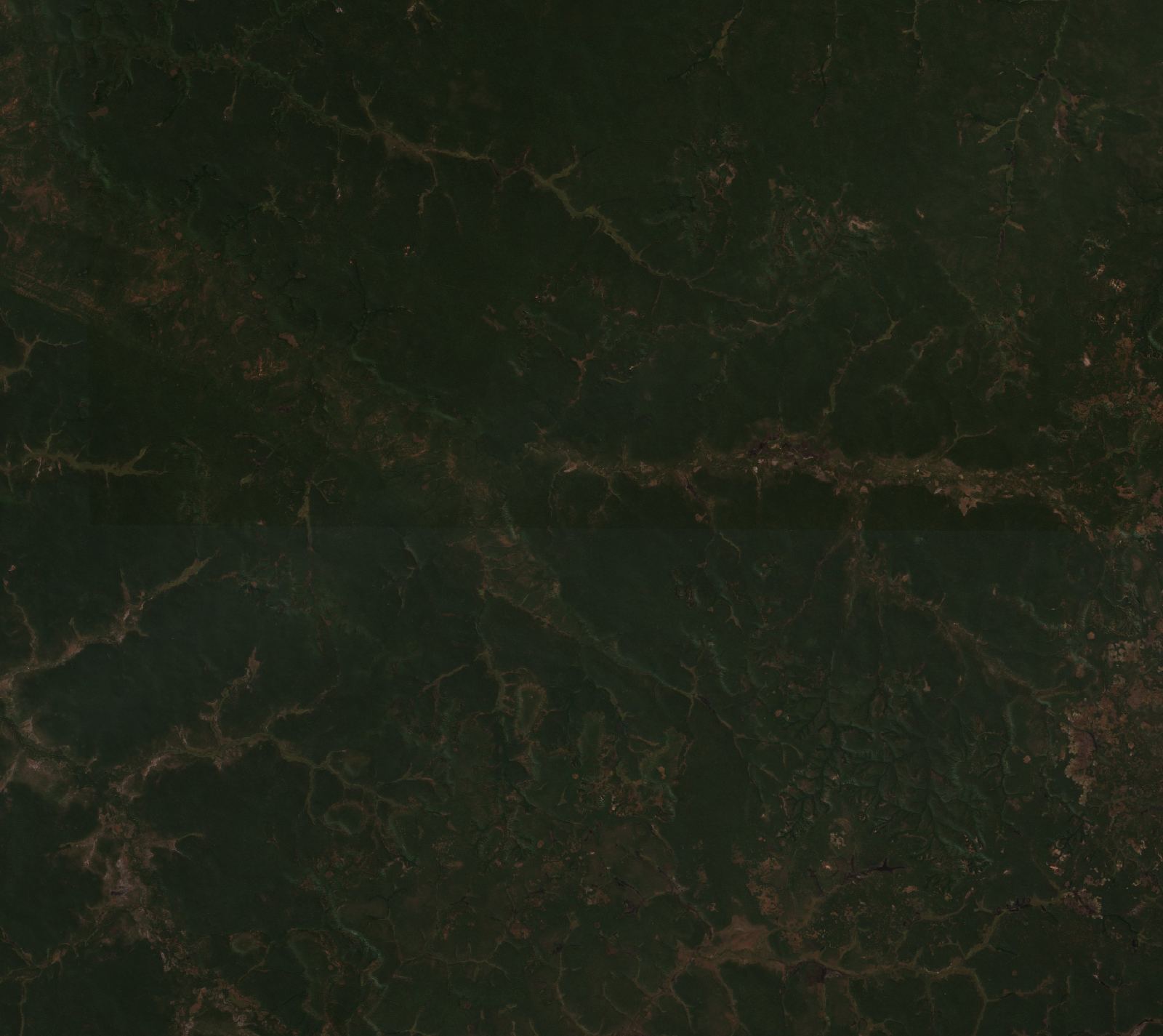 Sentinel-2 images