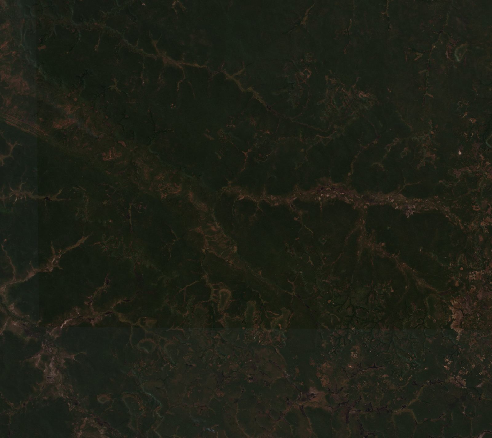 The area before the fire, July 24, 2026