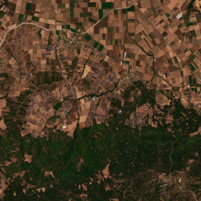 Sentinel-2 images